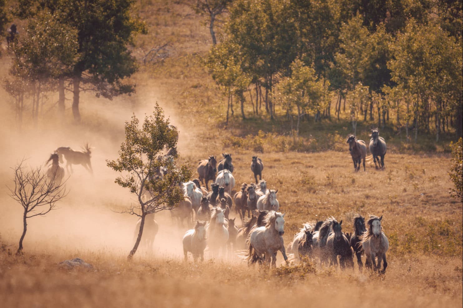 Jezero u livanjskom kraju