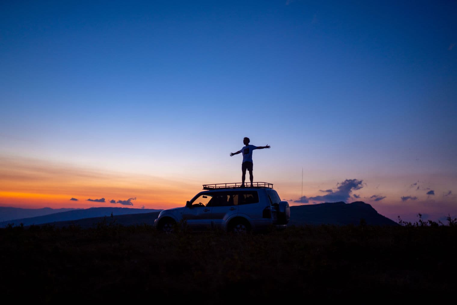 Divlji konji u galopu