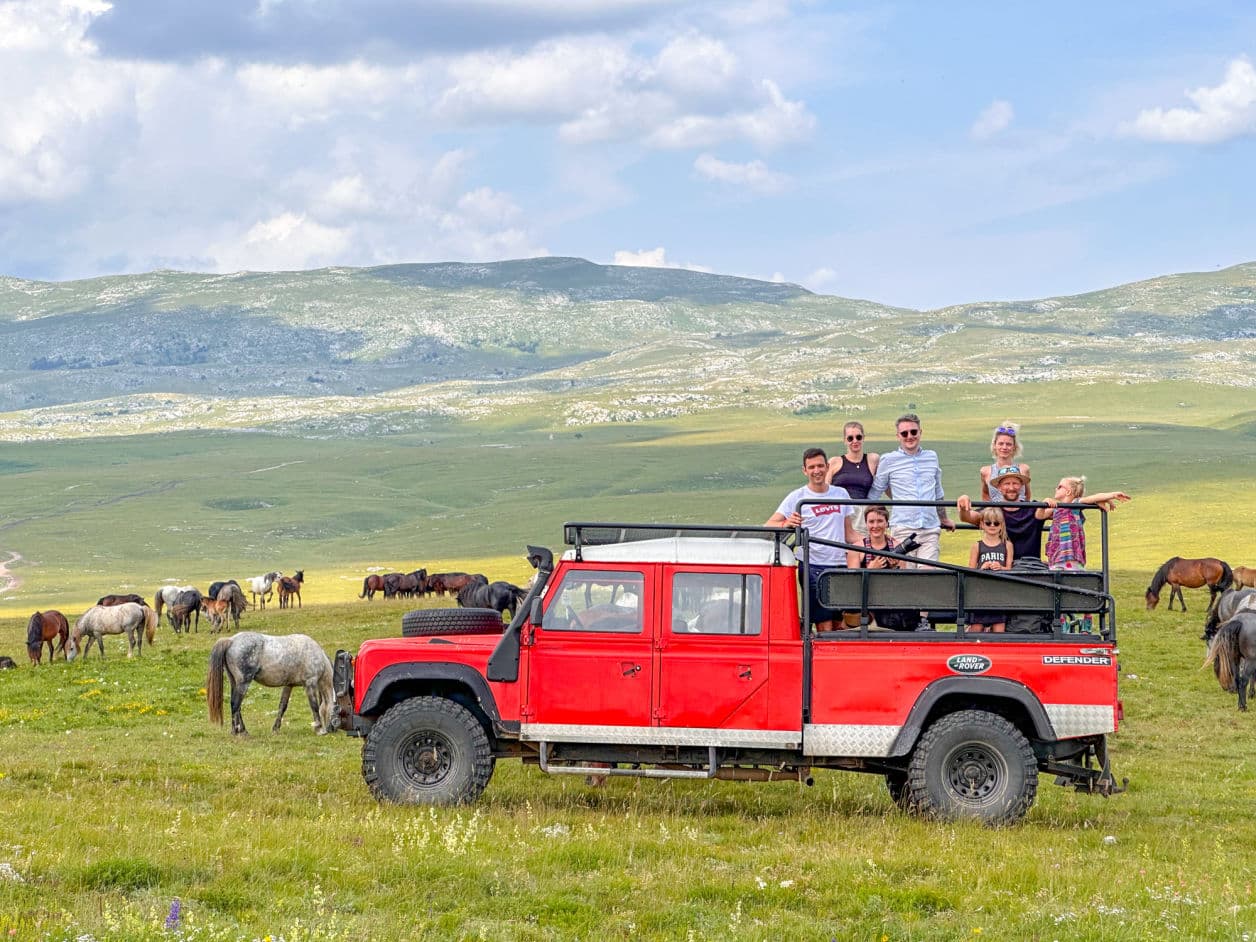 Foto safari divljih konja